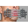 Stainless Steel Baillon Block Lips Métal